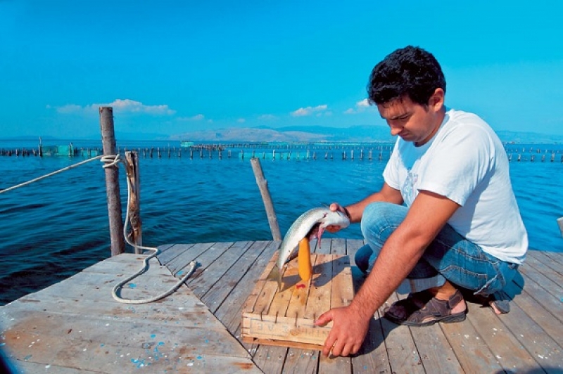 “To αυγοτάραχο Μεσολογγίου και το αμερικανικό… όνειρο”