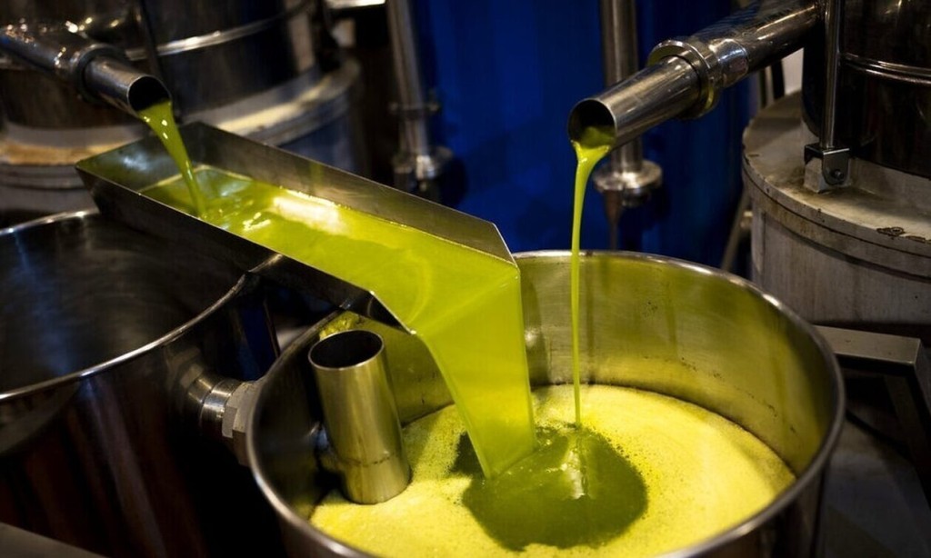 Αιτωλοακαρνανία - Ελιά &amp; ελαιόλαδο: Προσδοκίες από την εξαιρετική ανθοφορία, «παιχνίδια» με τις τιμές