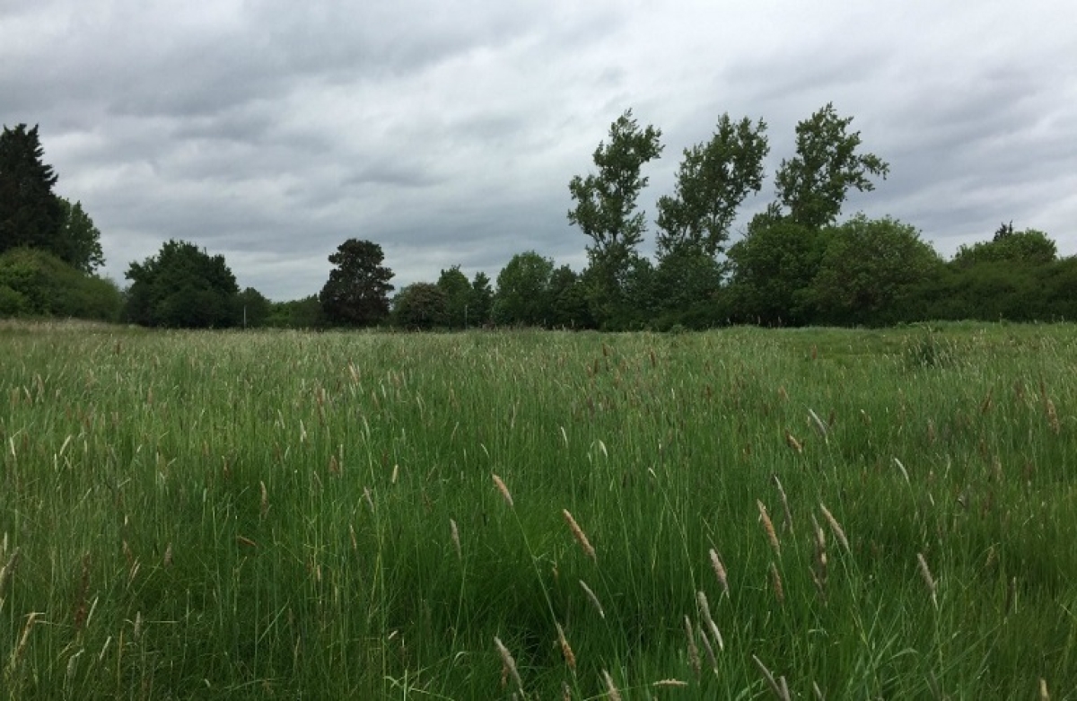 Προσπάθεια για να μειωθούν τα ποσά που μεταφέρονται στον Πυλώνα ΙΙ