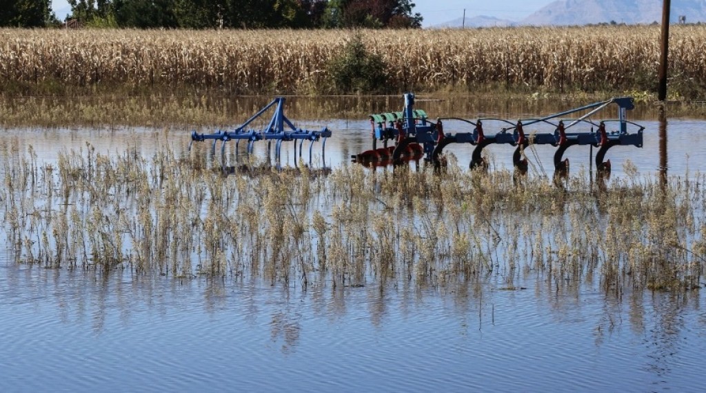 Νέο σαφάρι ελέγχων για τις αγροτικές επιδοτήσεις