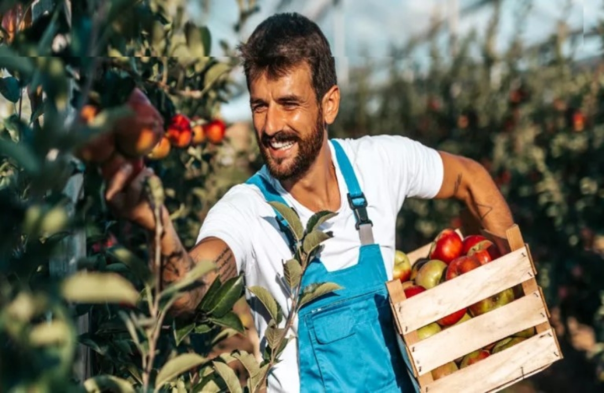 Στα 590 εκατ. € το νέο πρόγραμμα για την «Εγκατάσταση Γεωργών Νεαρής Ηλικίας»