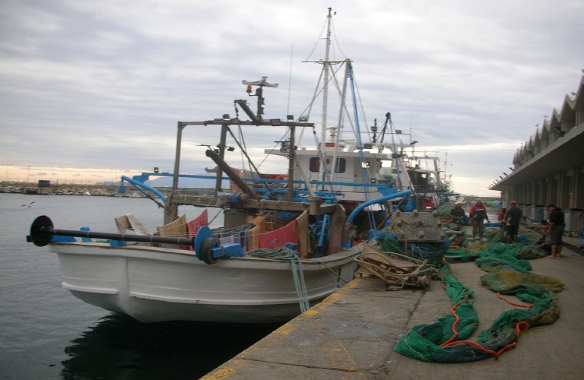 Οικονομική ενίσχυση του κλάδου αλιείας για την αντιμετώπιση της ενεργειακής κρίσης