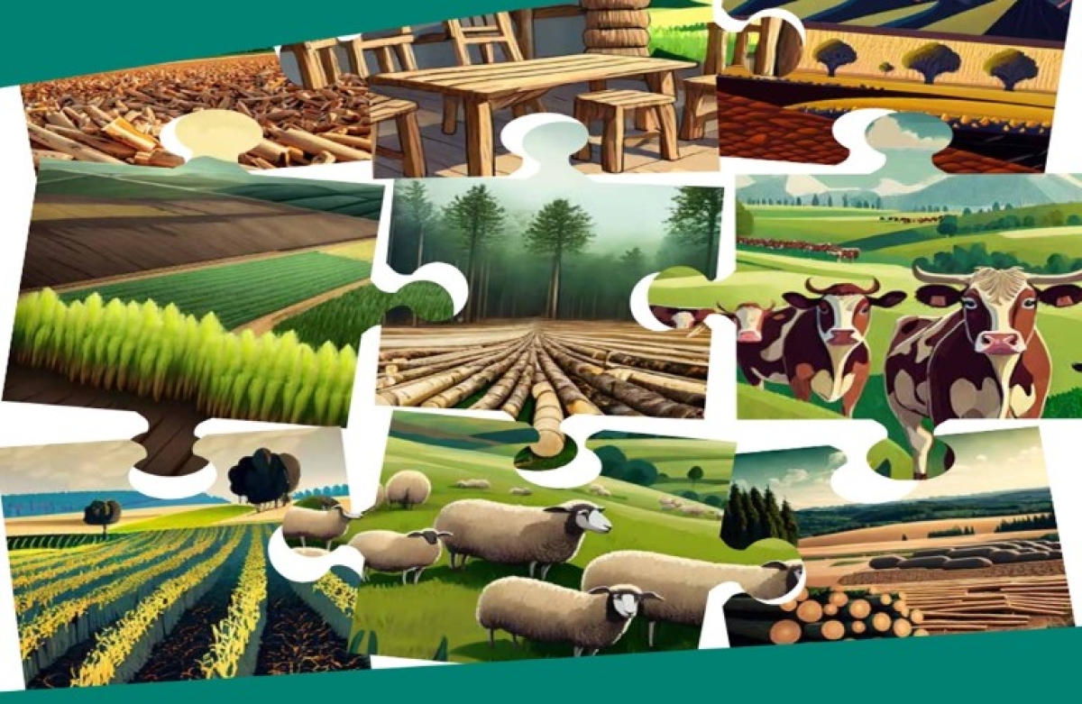 Βιομάζα: σε αναζήτηση νέων τρόπων αξιοποίησης