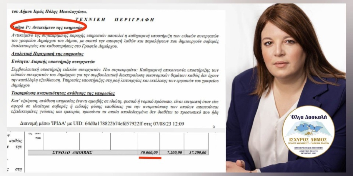 Παγκόσμια πρωτοτυπία να προσλαμβάνεται σύμβουλος για να συμβουλεύσει τον σύμβουλο - Όλγα Δασκαλή