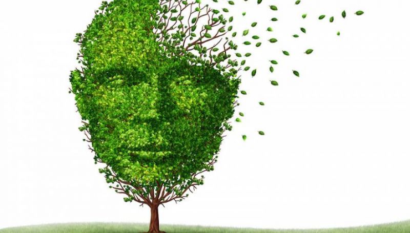 Το ρόφημα που προστατεύει τον εγκέφαλο από το αλτσχάιμερ