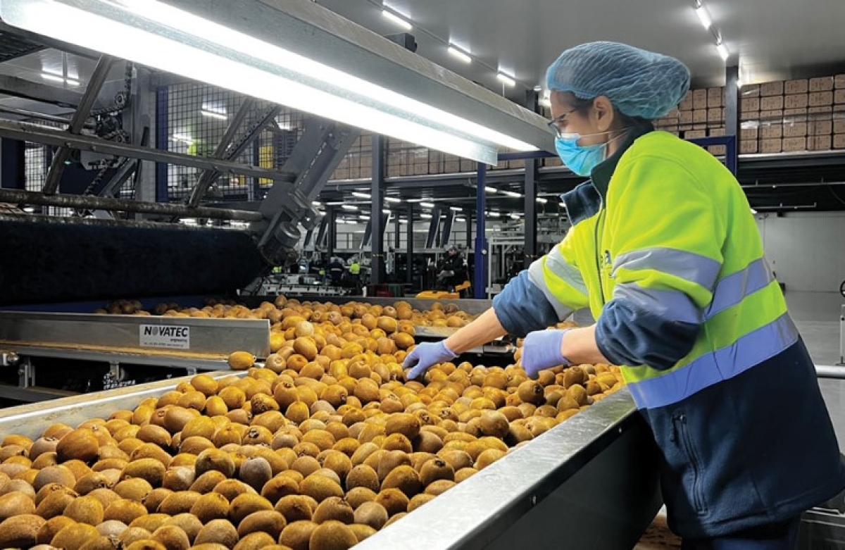 Α. Σ. Νεάπολης: αγγελία πρόσληψης εποχικού προσωπικού