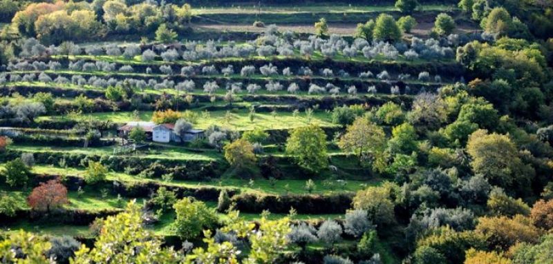 Εικόνες από τον καταπράσινο Αράκυνθο