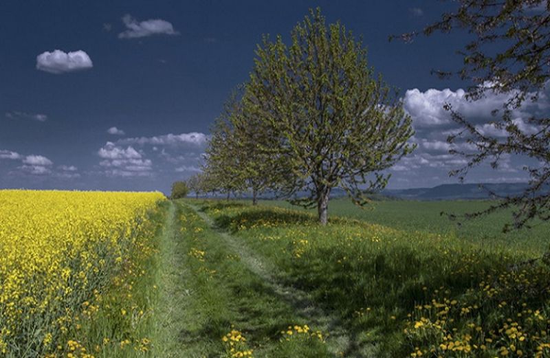 ΟΠΕΚΕΠΕ: πληρωμή 1,97 εκατ. ευρώ
