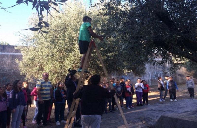 Λιομάζεμα στο Δημοτικό σχολείο Δοκιμίου