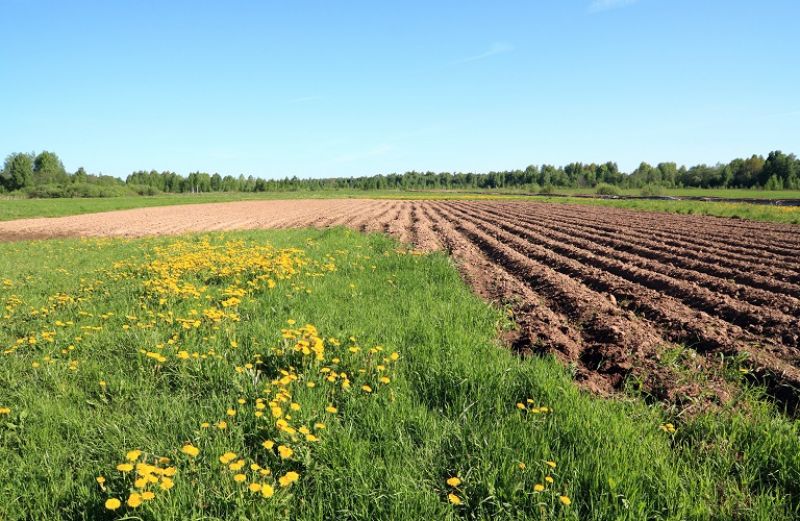 Ανακοίνωση ΟΠΕΚΕΠΕ για Βιολογική Γεωργία 2017 και Κομφούζιο