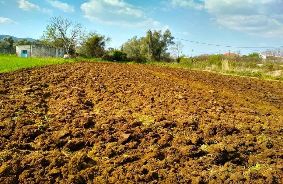 Τιμές και ενοίκια γεωργικής γης