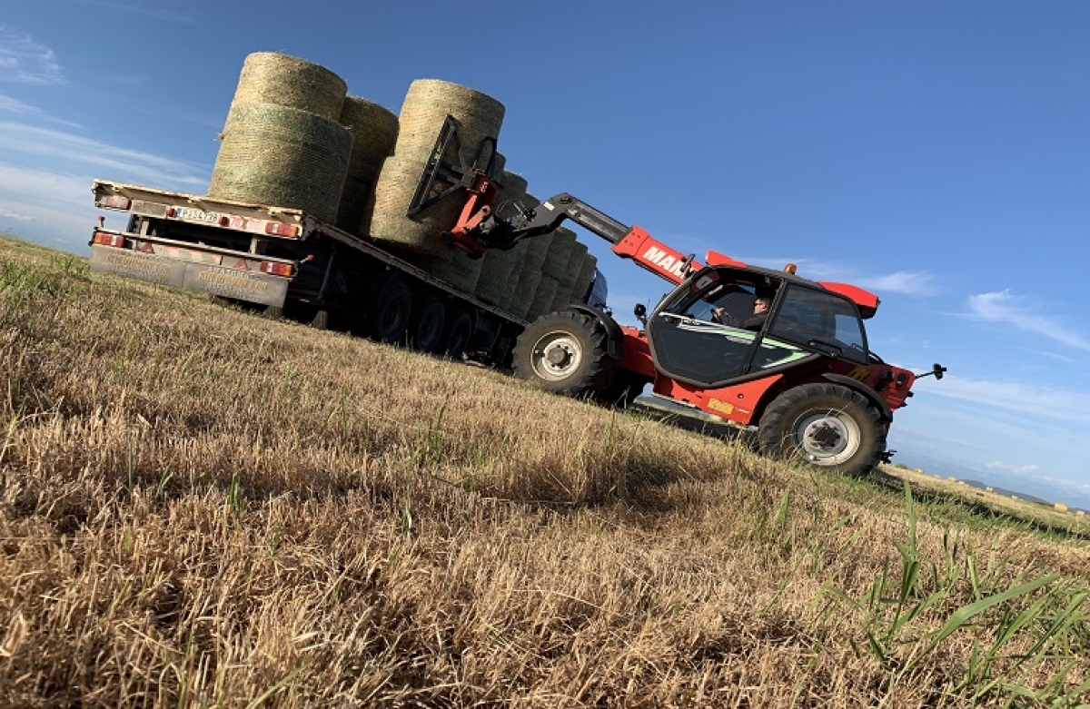 Τα Σχέδια Βελτίωσης μέσα από 26 ερωτήσεις-απαντήσεις