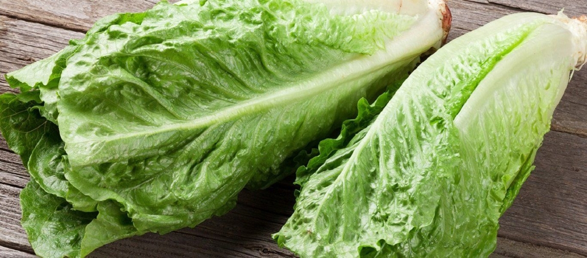 Οι πέντε λόγοι για να καταναλώνετε πιο συχνά μαρούλι