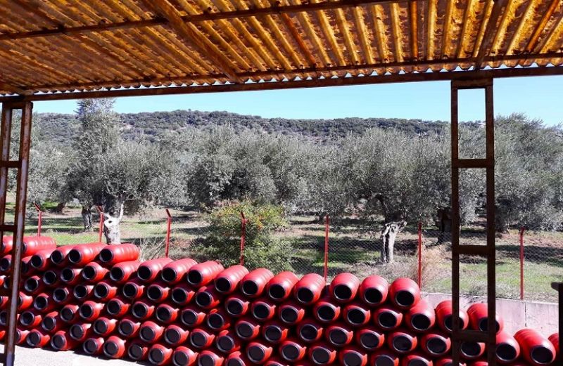 Οριακή άνοδος στις ελληνικές εξαγωγές στο 11μηνο