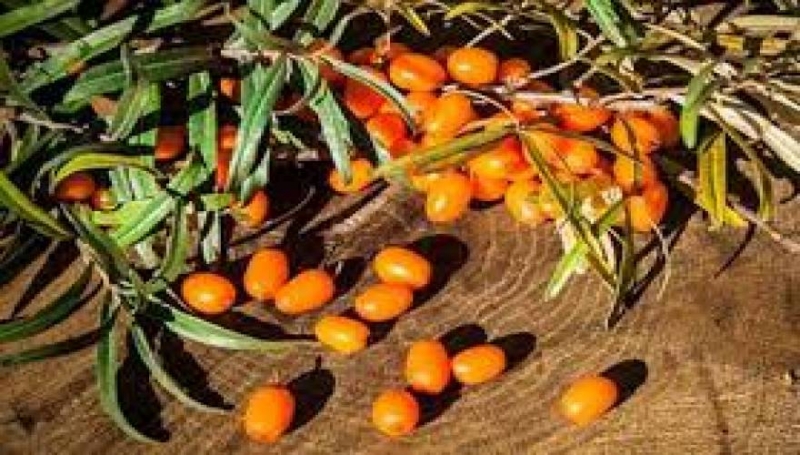 Αυτός είναι ο &quot;διατροφικός δυναμίτης&quot; που μειώνει σημαντικά τις πιθανότητες εμφάνισης ασθενειών!