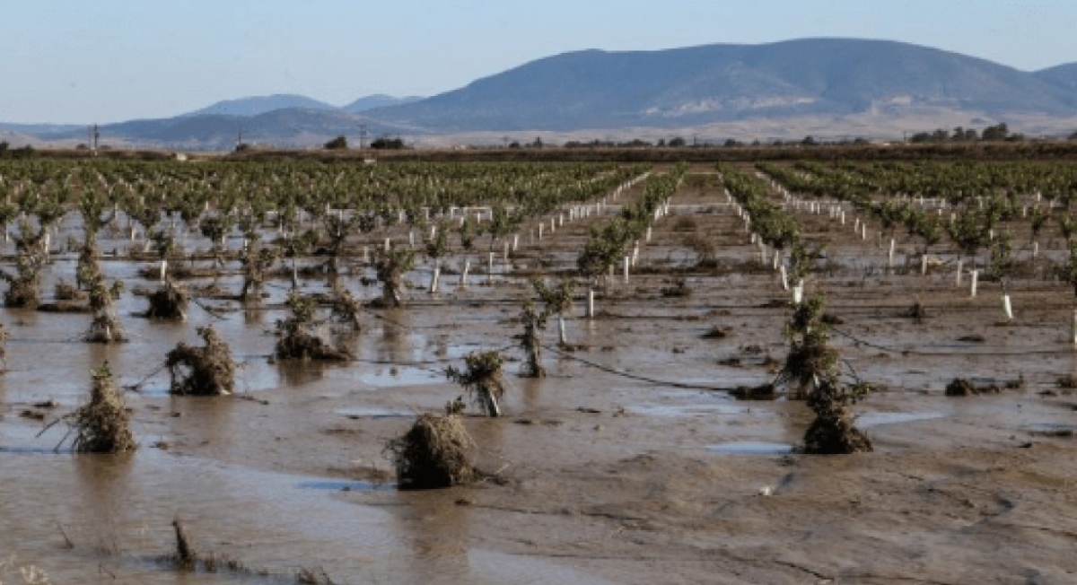 Απόφαση της ΕΕ για προκαταβολή για Daniel