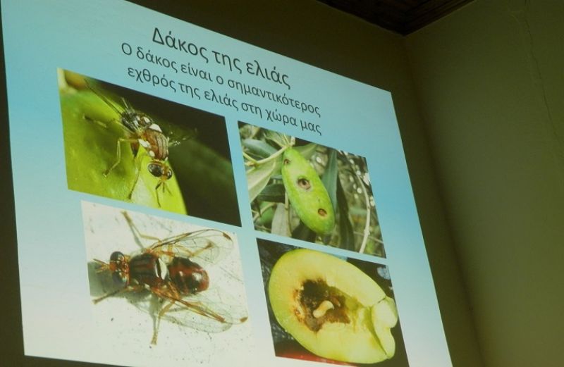 Ένωση Αγρινίου: Στο Αγρίνιο η νέα ενημερωτική συνάντηση με ελαιοπαραγωγούς (Παρ 19/1/2018 10:30)