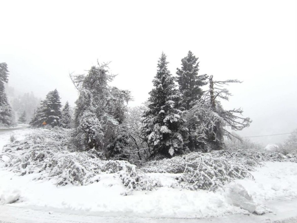 Λαμπίρι προς Αραποκέφαλα – Μαγικό χιονισμένο τοπίο