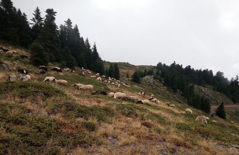 265.773 € πλήρωσε ο ΟΠΕΚΕΠΕ