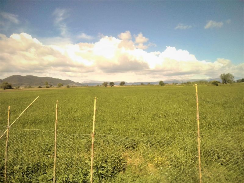 Μεταξύ Δοκιμίου &amp; Αγγελοκάστρου: Κάποτε βάλτος και καταφύγιο Ελλήνων, τώρα χωράφια.