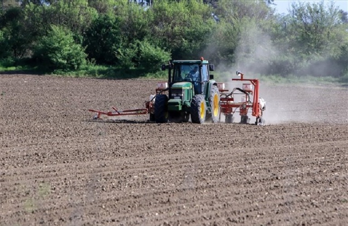Γεωργικές Συμβουλές: προσωρινά αποτελέσματα για πέντε Περιφέρειες