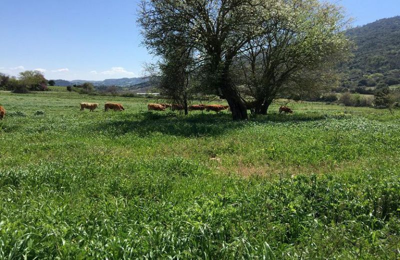 Η ΝΕΑ ΠΑΣΕΓΕΣ σε συνάντηση με Κασίμη για τη νέα ΚΑΠ