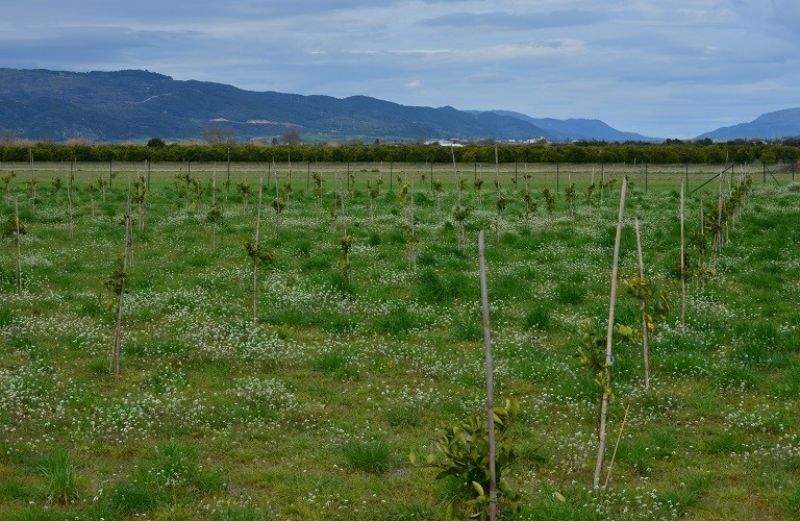 Εισροές και εκροές σε γεωργία – κτηνοτροφία