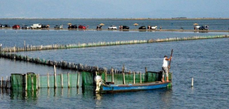 Όμορφες εικόνες από τη λιμνοθάλασσα Μεσολογγίου
