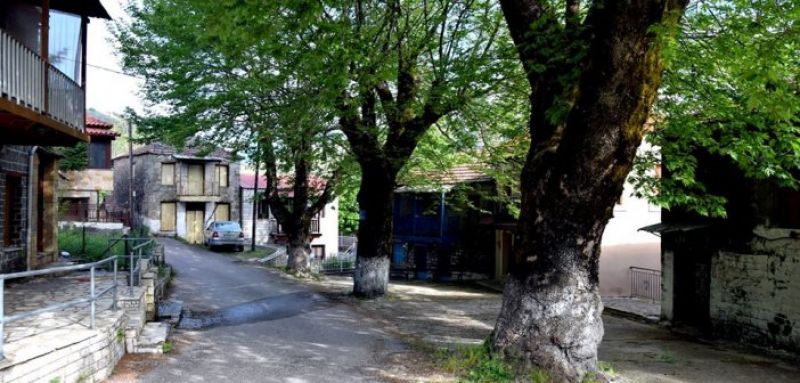 Εικόνες από την Περδικόβρυση Ναυπακτίας