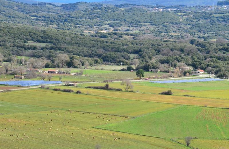 Χρήσεις γης: Τι προβλέπει το νέο Προεδρικό Διάταγμα για τον αγροτικό τομέα