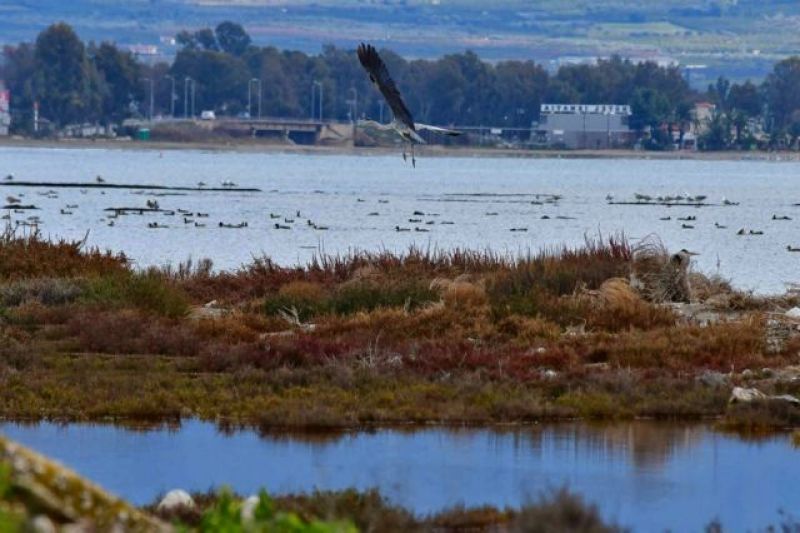 H κλιματική αλλαγή και οι επιπτώσεις της στους τομείς της υγείας, γεωργίας και κτηνοτροφίας