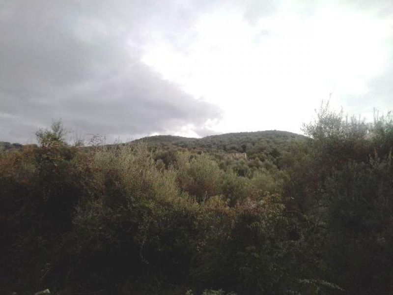 Ο Οθωμανικός πύργος του Μουχτάρ στη Ντουγρή Τριχωνίδας, που όμως είναι απροσπέλαστος λόγω…ζούγκλας!