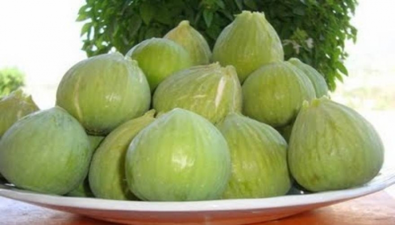 Τα απίστευτα οφέλη του σύκου: Η απόλυτη υπερτροφή του καλοκαιριού - Δείτε που οφελεί!