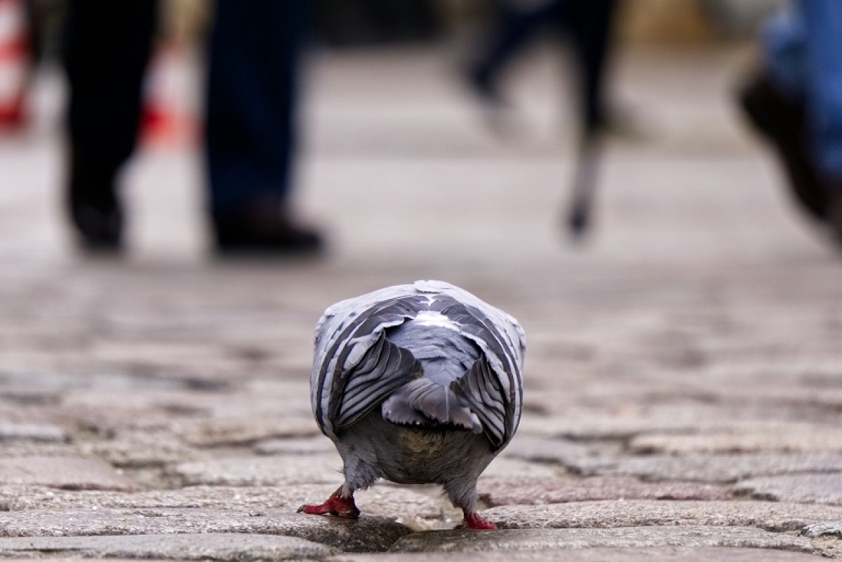 Τι μπορεί να φέρει το καλοκαίρι;