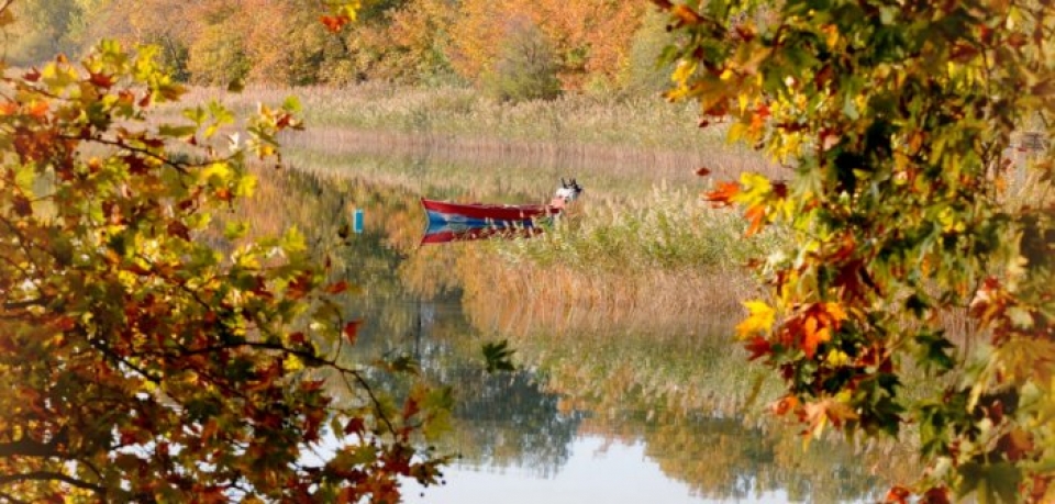 Λίμνη Τριχωνίδα: Μαγευτικές εικόνες σαν πίνακες ζωγραφικής