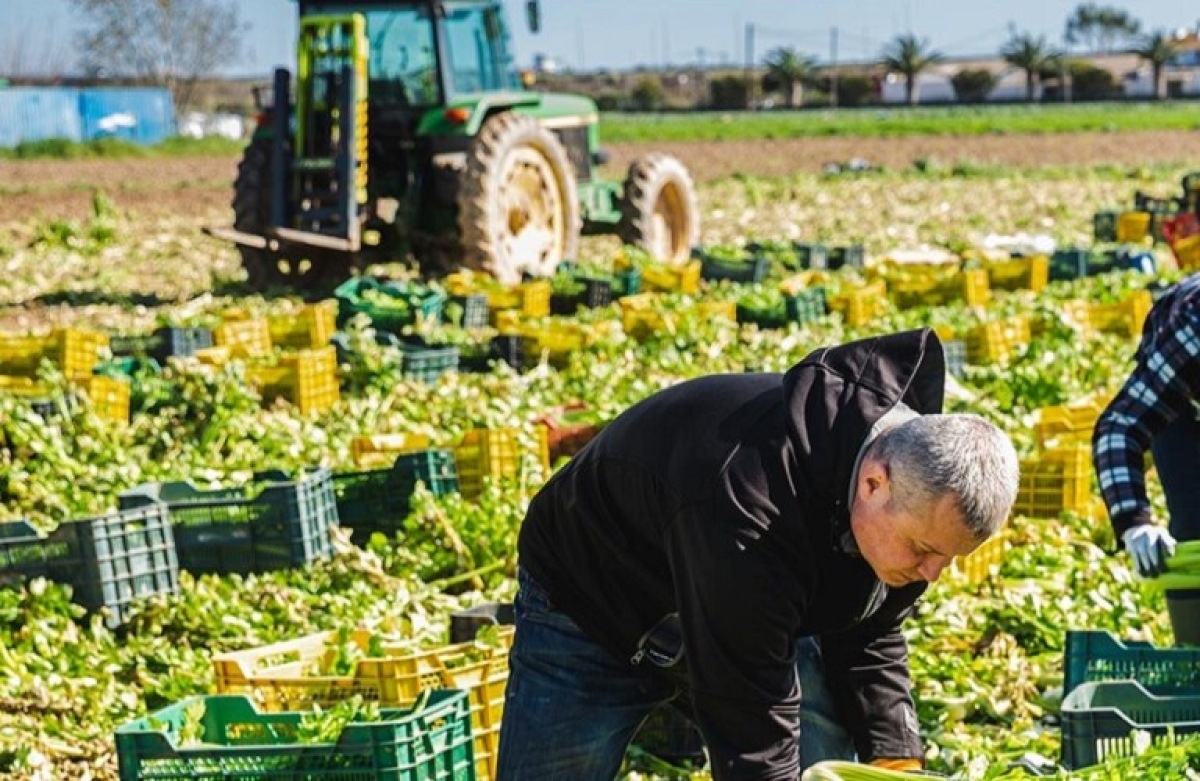 Έρχεται νομοσχέδιο που θα λύνει το πρόβλημα των εργατών γης