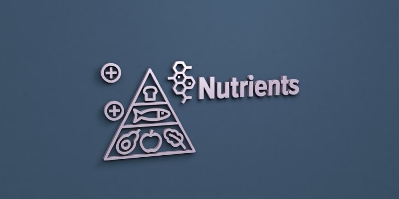 Μέταλλα &amp; Ιχνοστοιχεία στη Διατροφή σου [ΟΔΗΓΟΣ]