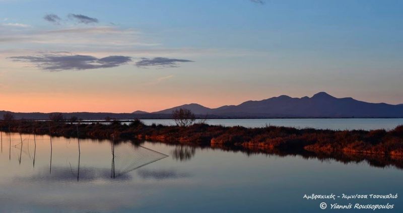 Mια διήγηση μας «μεταφέρει» στις ομορφιές των υγροτόπων της Αιτωλοακαρνανίας