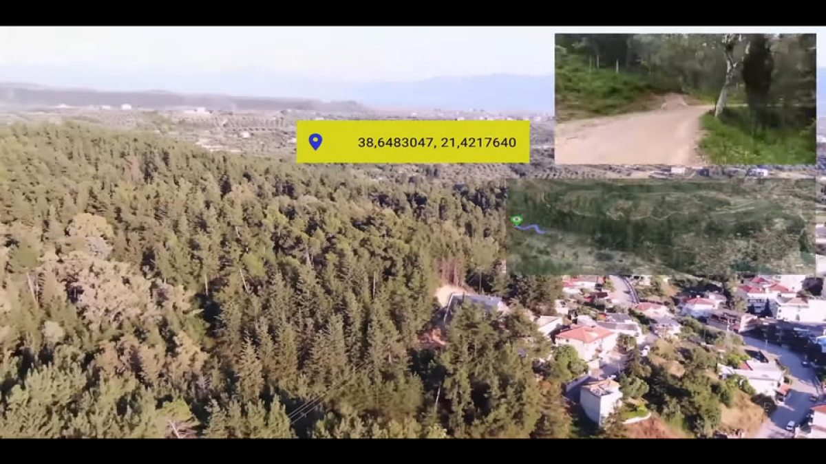 Απόδραση μέσα στο δάσος του Αγίου Χριστοφόρου Αγρινίου [HDvideo]