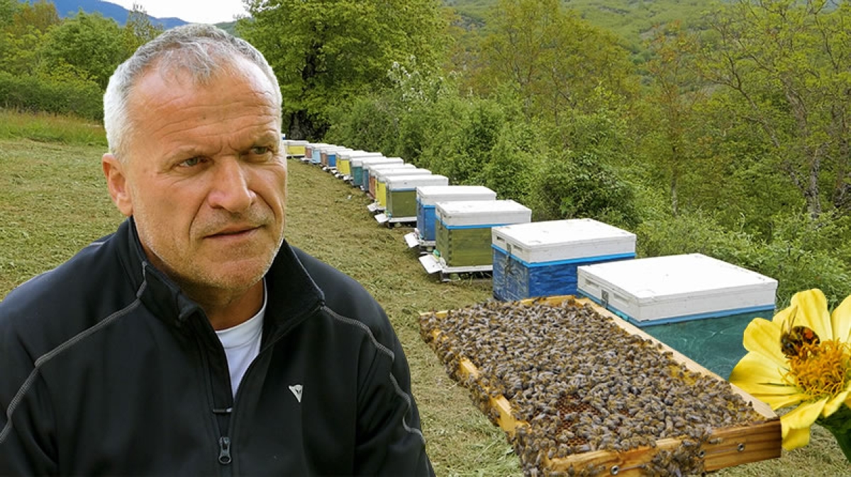 Αποκαλύπτοντας το χρυσό μυστικό της φύσης | Ο Γιώργος και η μαγεία των μελισσών του (Βίντεο)