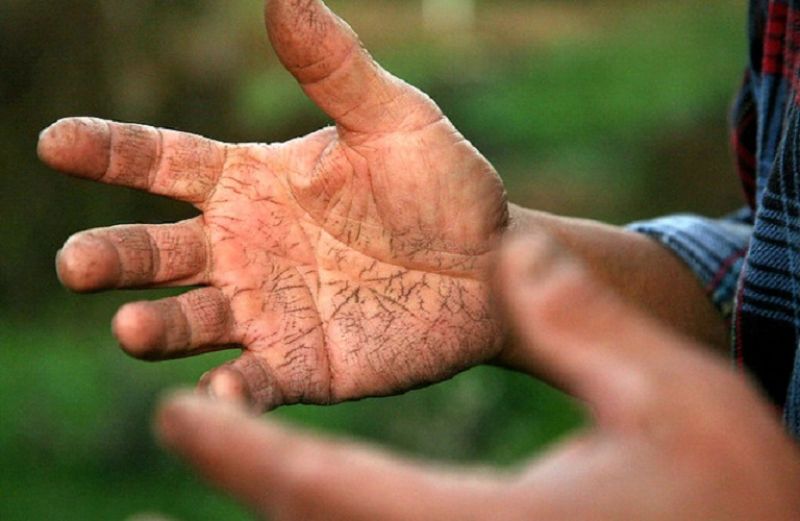 Πρόωρη Συνταξιοδότηση Αγροτών: όσα πρέπει να γνωρίζετε