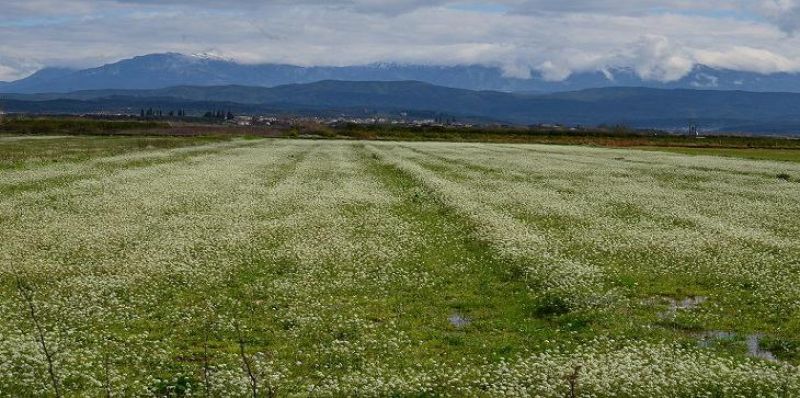 Νέα πληρωμή απ’ τον ΟΠΕΚΕΠΕ