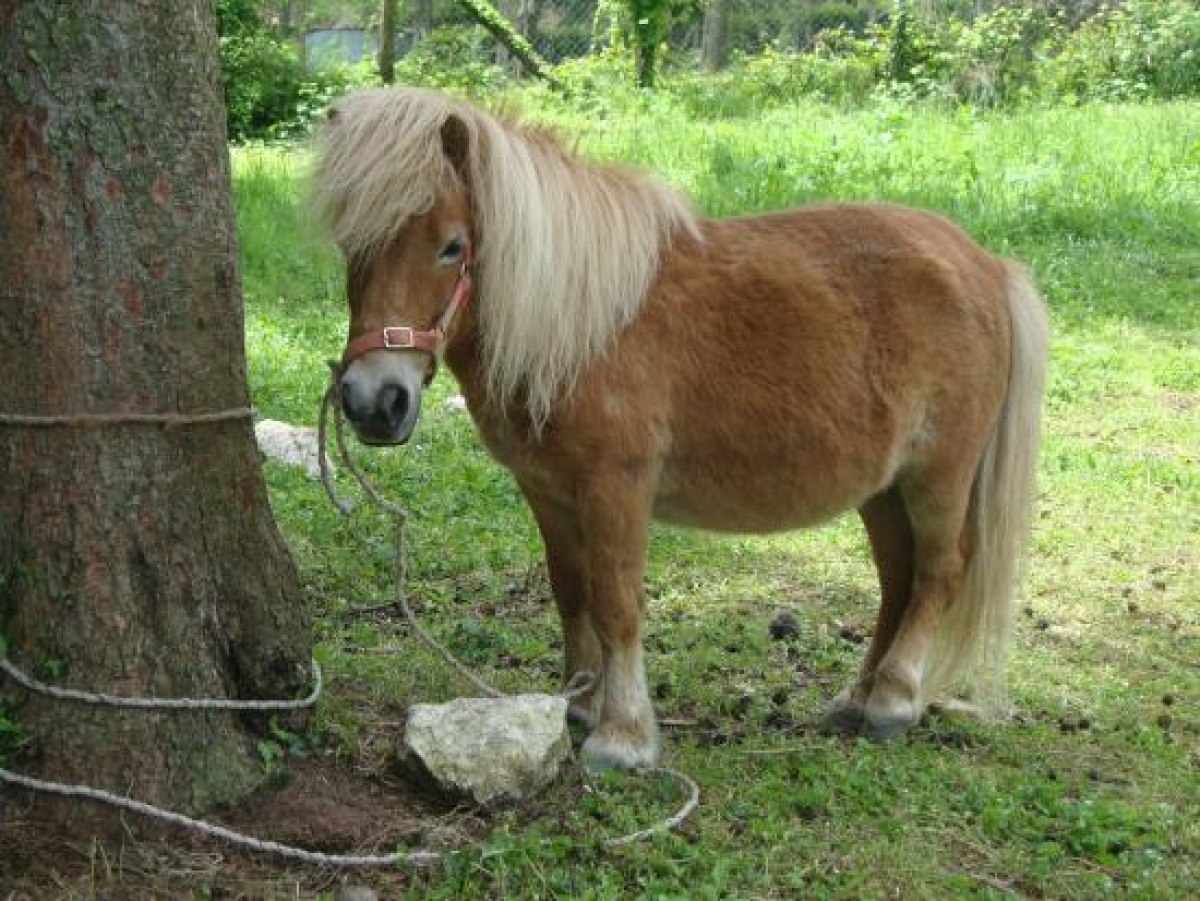 Ευαισθησίες…