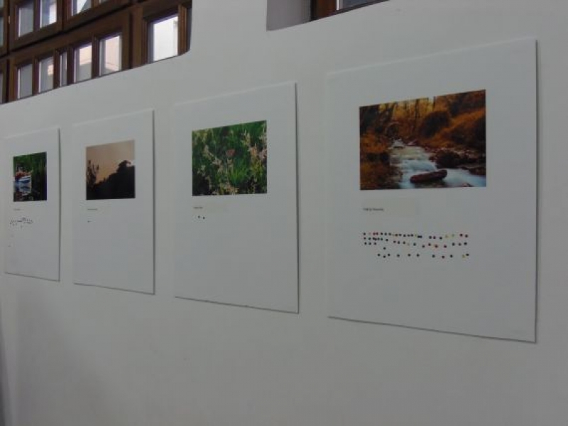 «Χίλιες και μία όψεις του τόπου μας» μέσα από τα μάτια των φοιτητών