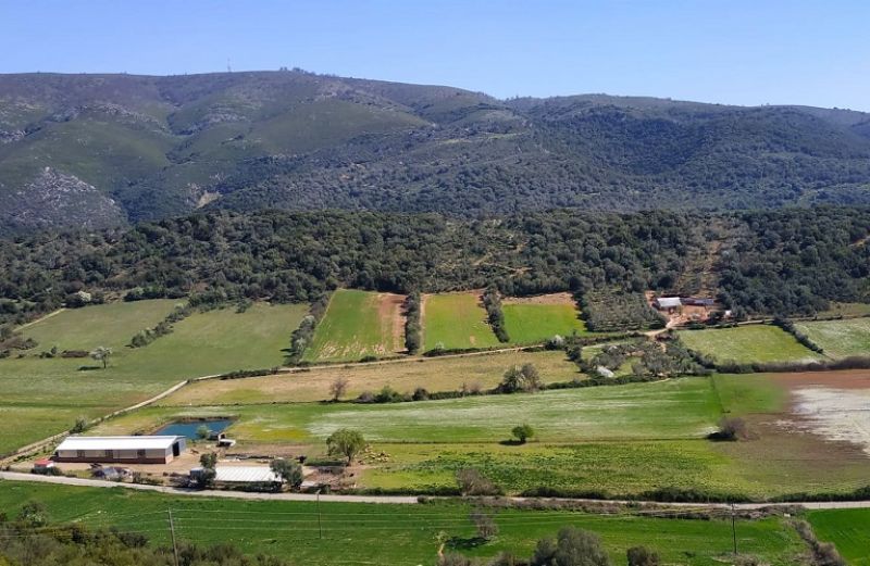 Νέοι κανόνες για τις άμεσες ενισχύσεις