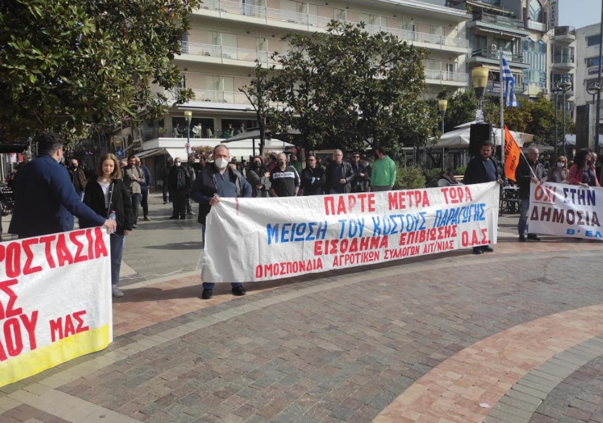 ΟΑΣ Αιτωλοακαρνανίας: Διεκδικούμε αναπλήρωση εισοδήματος για κάθε ελαιοπαραγωγό, 200 ευρώ ανά στρέμμα