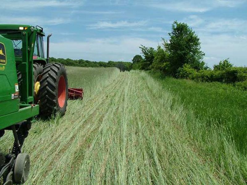 ΟΠΕΚΕΠΕ: Προθεσμία ενός μήνα για το ΟΣΔΕ 2018