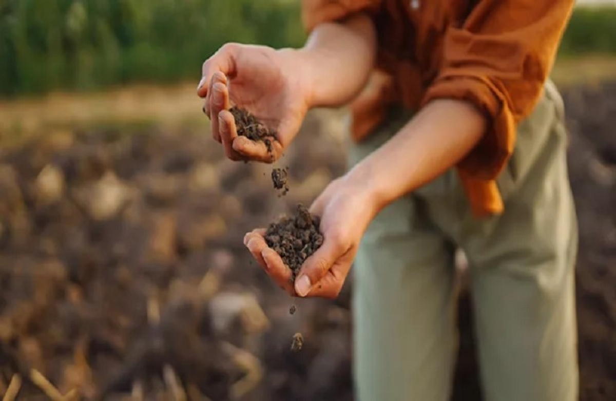 Έδαφος και γεωργία
