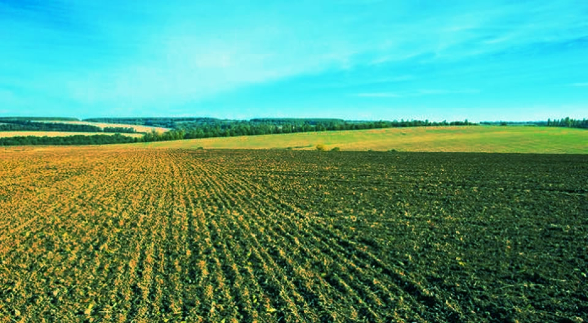 Απαλλαγή από την υποχρέωση της αγρανάπαυσης. Τι προβλέπει η απόφαση της ΕΕ  που αφορά 127.232 γεωργούς