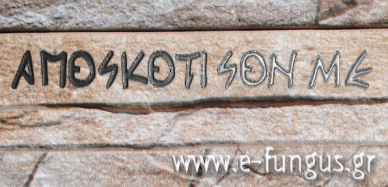 Αρχαίες φράσεις που διατηρούνται μέχρι σήμερα!